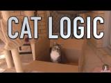Kočičí logika