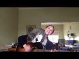 Kočka na kytaře