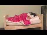 Kočka spí ve vlastní miniaturní posteli